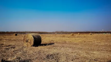 Casino Slot Shack Mobiilirakendus